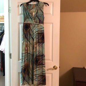 Jasper Maxi Dress with Peacock Feather Print NWT